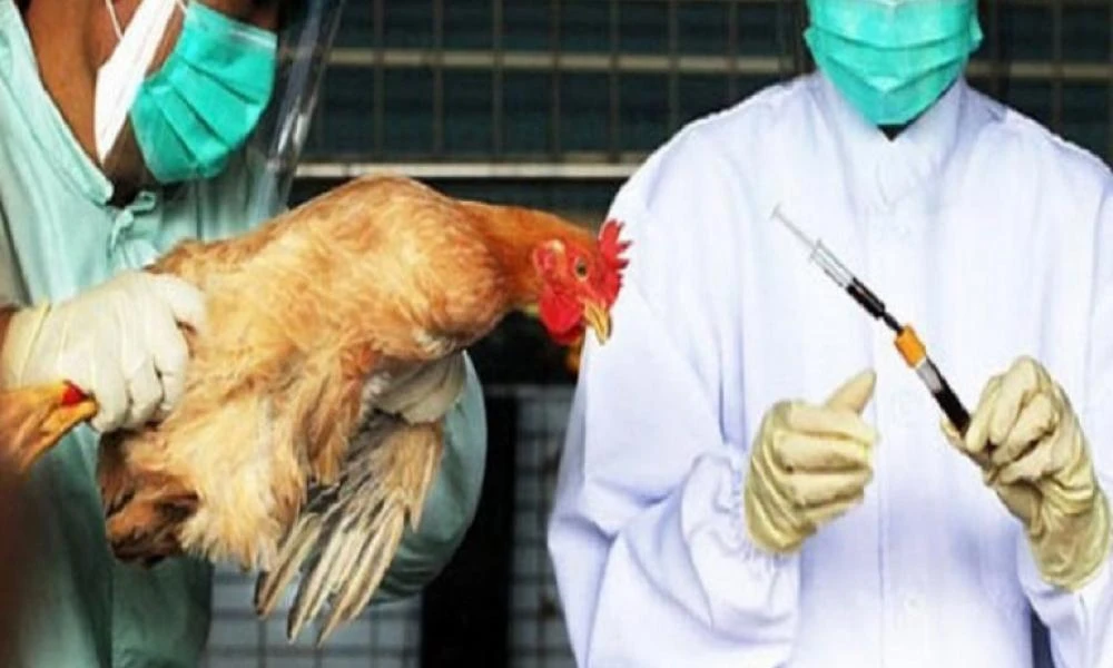 Η Ευρωπαϊκή Ένωση είναι η πρώτη χώρα στον κόσμο που ξεκινά εμβολιασμούς για τη γρίπη των πτηνών